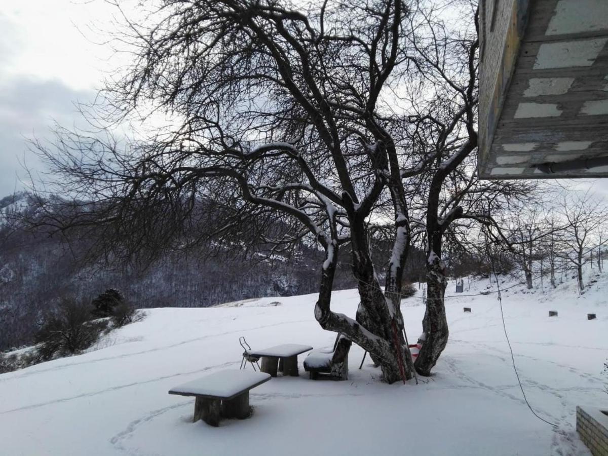 Bujtina E Tomorrit Ujanik Exterior photo