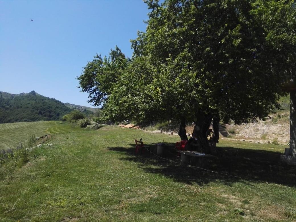 Bujtina E Tomorrit Ujanik Exterior photo