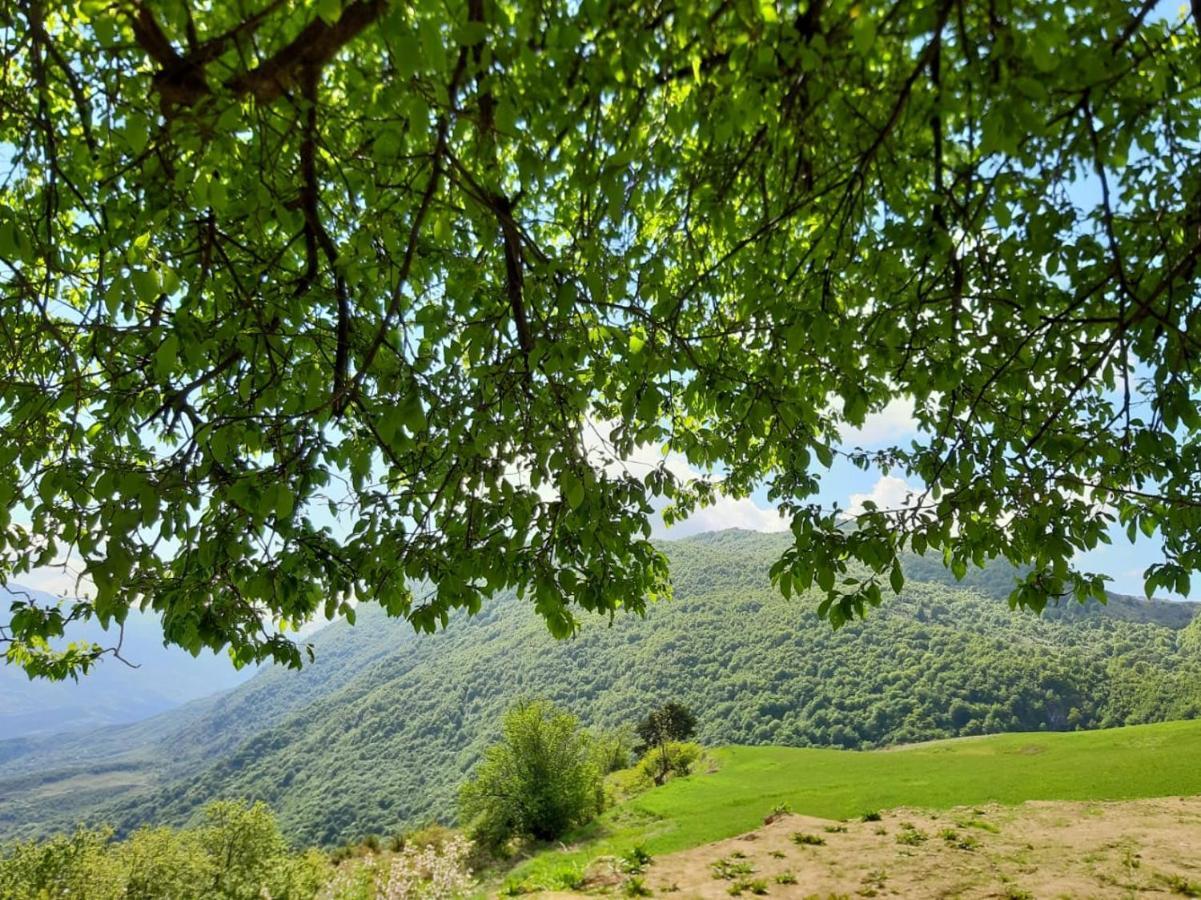 Bujtina E Tomorrit Ujanik Exterior photo