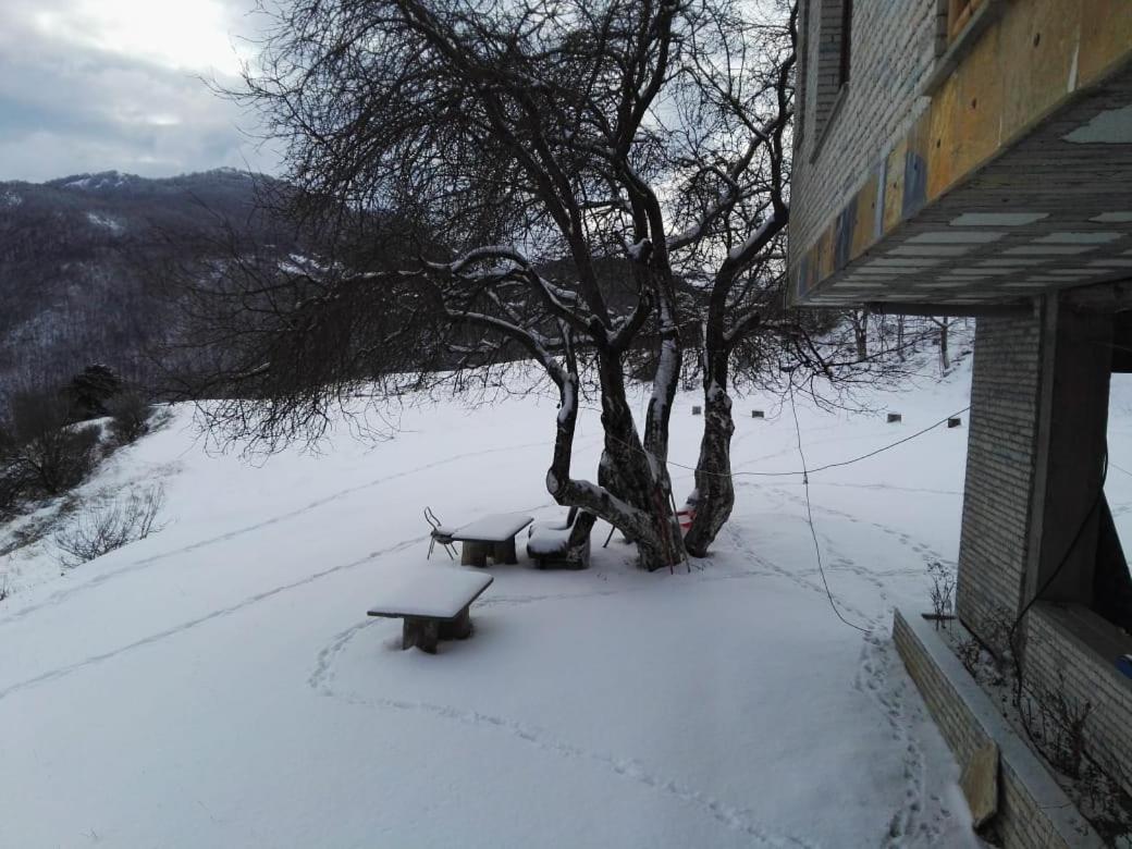 Bujtina E Tomorrit Ujanik Exterior photo
