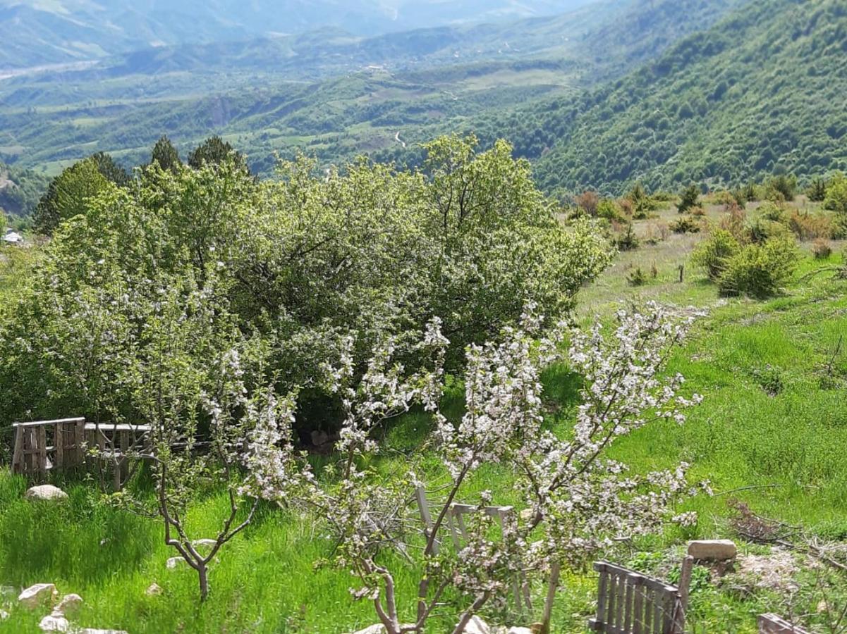 Bujtina E Tomorrit Ujanik Exterior photo